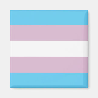 Trans-Pride-Magnet Magnet