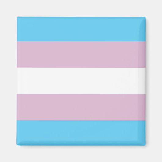 Trans-Pride-Magnet Magnet (Vorne)