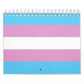 Trans-Pride-Markierung Kalender (Titelbild)