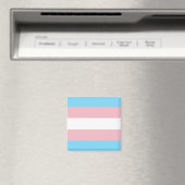 Trans-Pride-Markierung Magnet (In Situ (Geschirrspüler))
