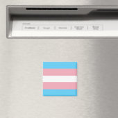 Trans-Pride-Markierung Magnet (In Situ (Geschirrspüler))