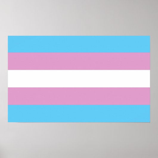 Trans-Pride-Markierung Poster (Vorne)