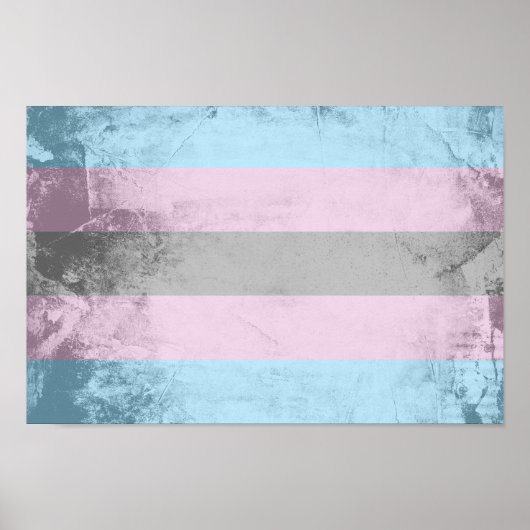 Trans-Pride-Markierung Poster (Vorne)