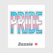 Trans Pride Word Aufkleber (Blatt)