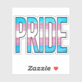 Trans Pride Word Aufkleber (Blatt)