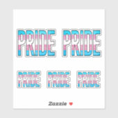 Trans Pride Word Aufkleber (Blatt)