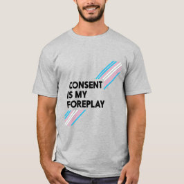 Trans Pride Zustimmung ist mein Vorspiel Light T - T-Shirt