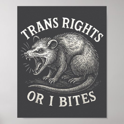Trans Rechte Oder Ich Beiß Funny Transgender Ssum Poster (Vorne)