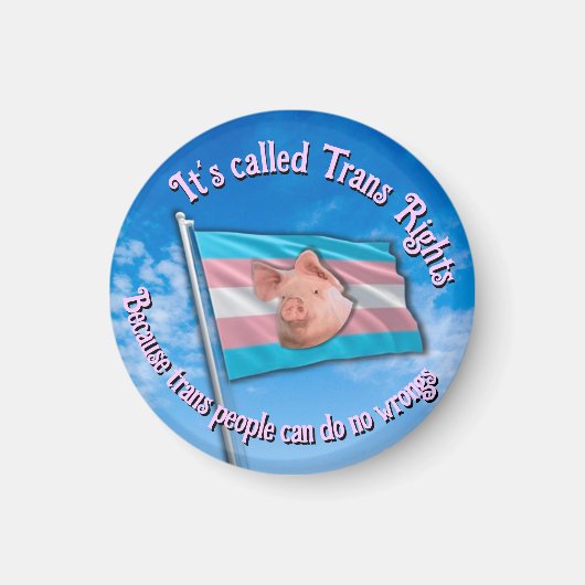 Trans Rights Magnet (Vorne)