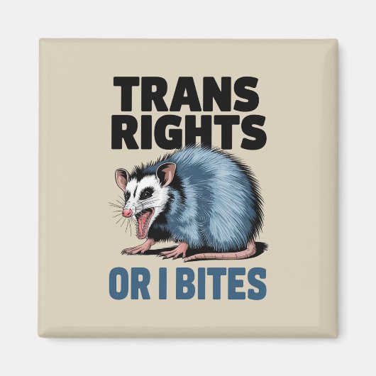 Trans Rights Oder ich möchte Gay Funny Lgbtq Pride Magnet (Vorne)