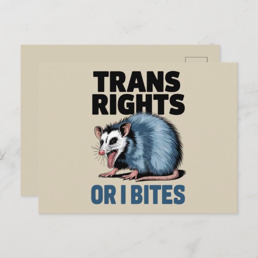 Trans Rights Oder ich möchte Gay Funny Lgbtq Pride Postkarte (Vorne/Hinten)