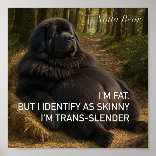 Trans-schlank  poster (Vorne)