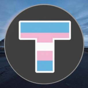 Trans Stolz Hauptstadt T Sandstein Untersetzer