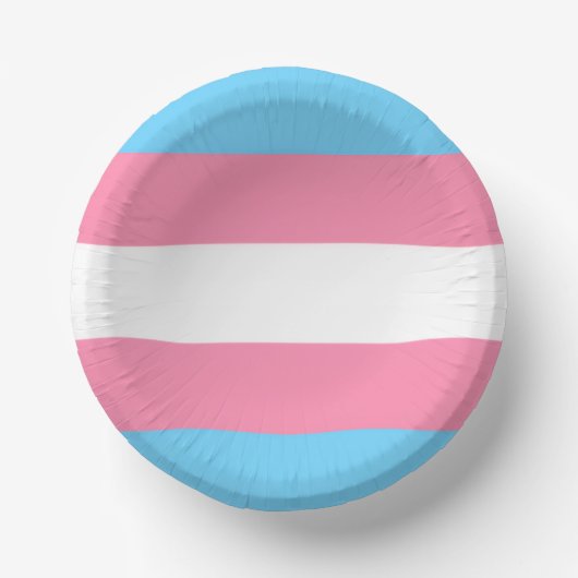 trans Tellerpartydekoration Pappteller (Vorderseite)