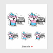 Trans Youth schützen - Stolz zuerst Aufkleber (Blatt)