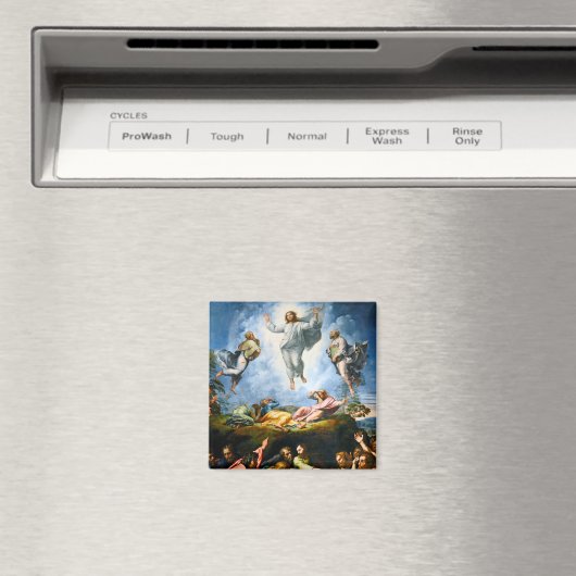 Transfiguration, Raphael Magnet (In Situ (Geschirrspüler))