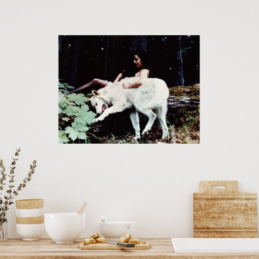 Transformation Poster (Küche)