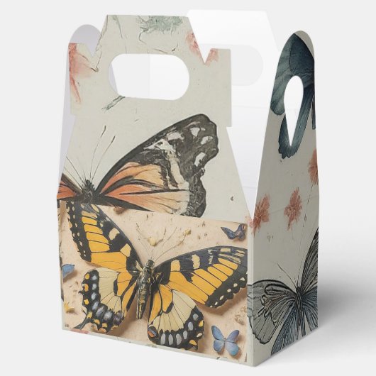 Transformation von Schmetterlingen Geschenkschachtel (Geöffnet)