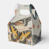 Transformation von Schmetterlingen Geschenkschachtel (Vorderseite)