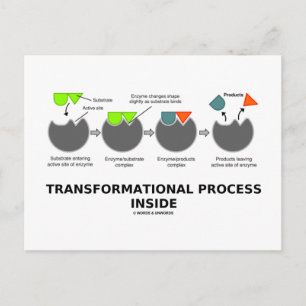 Transformationsprozess-Innenteil (Enzymsubstrat) Postkarte