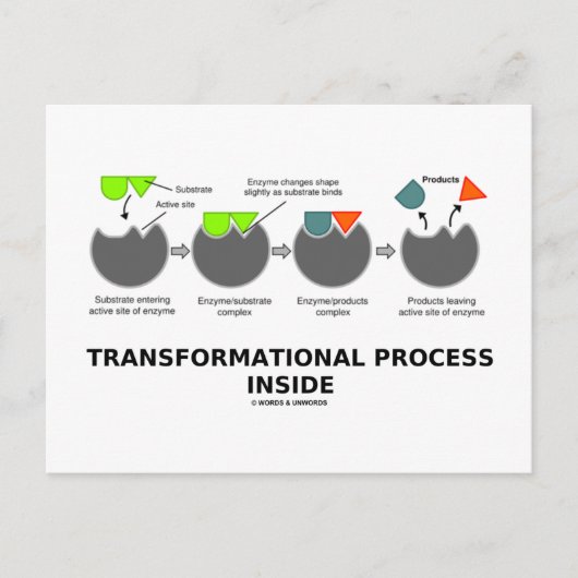 Transformationsprozess-Innenteil (Enzymsubstrat) Postkarte (Vorderseite)