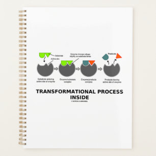 Transformationsprozess-Inside-Enzymsubstrat Planer
