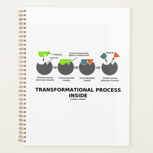Transformationsprozess-Inside-Enzymsubstrat Planer (Vorderseite)