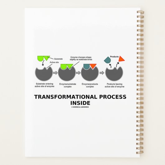 Transformationsprozess-Inside-Enzymsubstrat Planer (Rückseite)