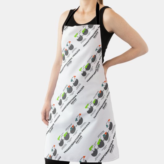 Transformationsprozess-Inside-Enzymsubstrat Schürze (InSitu)