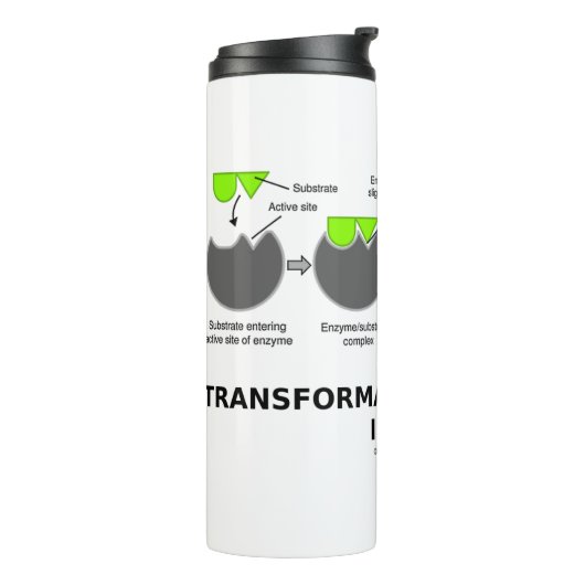 Transformationsprozess-Inside-Enzymsubstrat Thermosbecher (Nach links gedreht)