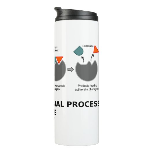 Transformationsprozess-Inside-Enzymsubstrat Thermosbecher (Nach rechts gedreht)