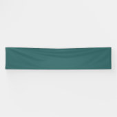 Transformatives Teal Banner (Horizontal)