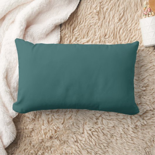 Transformatives Teal  Lendenkissen (Decke)