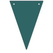 Transformatives Teal Wimpelkette (Erste Fahne)