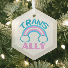 Transgender Ally Trans Rainbow Hübsche Weihnachten Ornament Aus Glas
