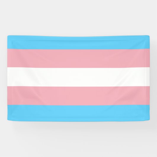 Transgender Flag Banner (Horizontal)