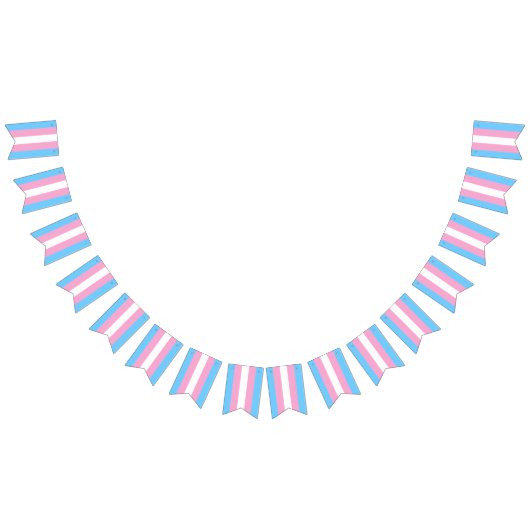 Transgender Flag Bunting Banner LGBT Party (Alle)