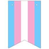 Transgender Flag Bunting Banner LGBT Party (Zweite Fahne)