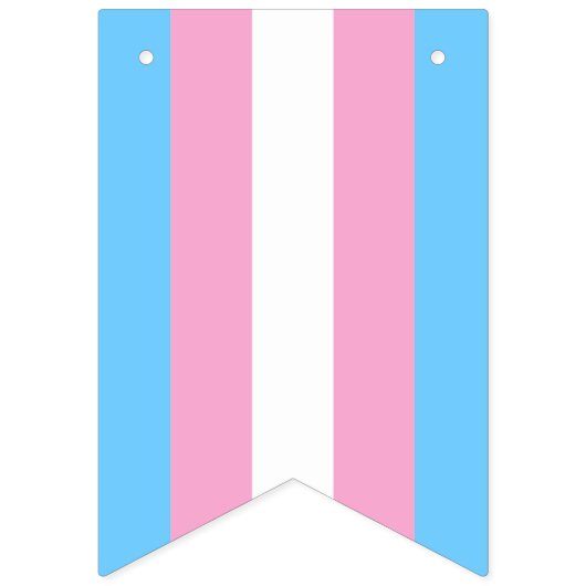 Transgender Flag Bunting Banner LGBT Party (Zweite Fahne)