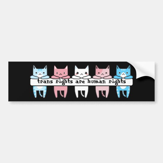 Transgender Flag Cat Trans Rights sind Menschenrec Autoaufkleber (Vorne)