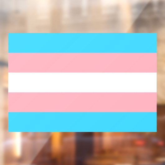 Transgender-Flag LGBTQIA+-Flag Fensteraufkleber (Blatt 2)