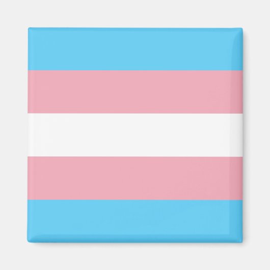 Transgender-Flag Magnet (Vorne)