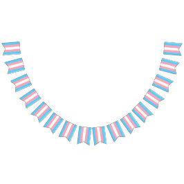 Transgender Flag Party Signiert Banners Garland Wimpelkette