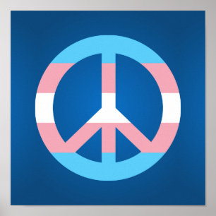 Transgender-Flag-Plakat Poster