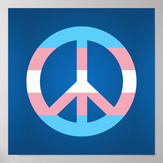 Transgender-Flag-Plakat Poster (Vorne)