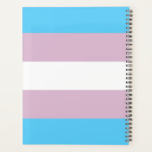 Transgender-Flag-Plane Planer (Rückseite)