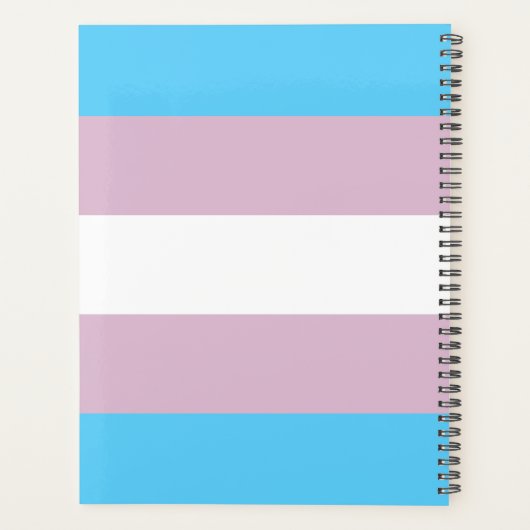 Transgender-Flag-Plane Planer (Rückseite)