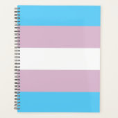 Transgender-Flag-Plane Planer (Vorderseite)