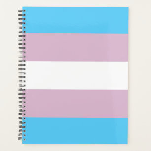 Transgender-Flag-Plane Planer
