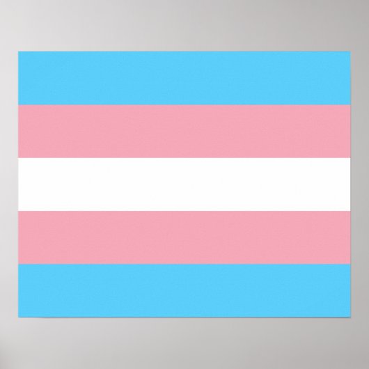 Transgender-Flag-Poster Poster (Vorne)